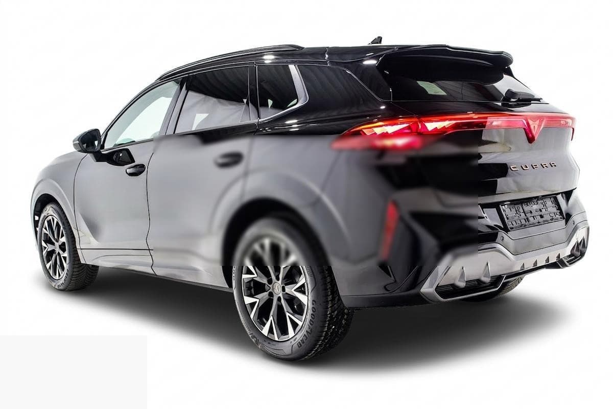 Cupra TERRAMAR 1.5 eTSI 150 DSG 4