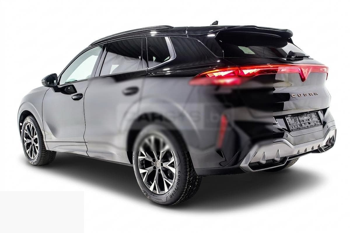 Cupra TERRAMAR 1.5 eTSI 150 DSG 4