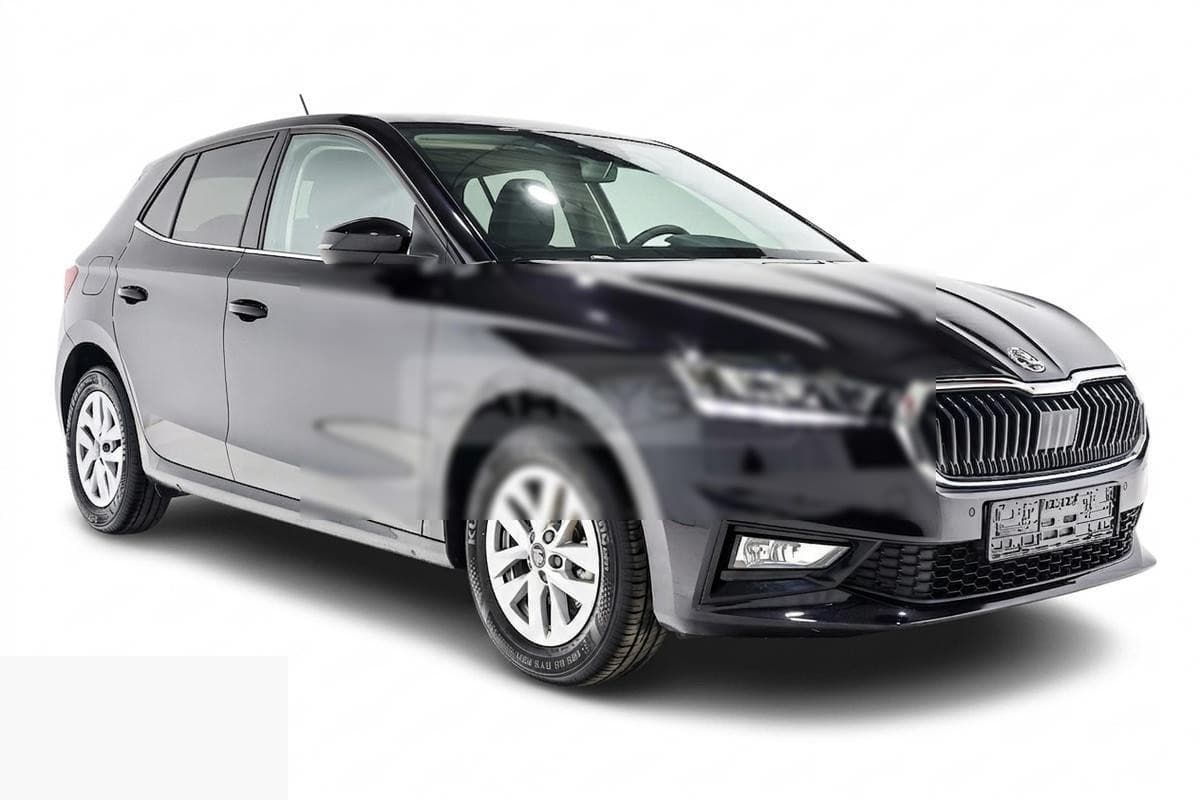 Skoda Fabia 1.0 TSI 116 DSG — photo 1