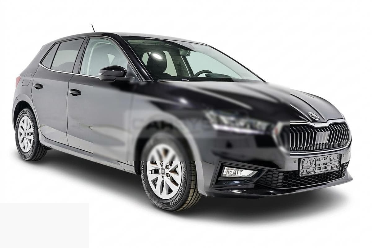 Skoda Fabia 1.0 TSI 116 DSG — photo 1