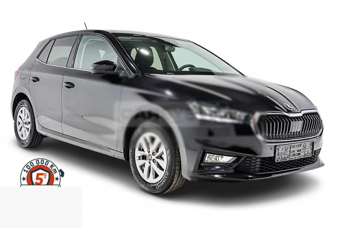 Skoda Fabia 1.0 TSI 116 DSG — photo 1