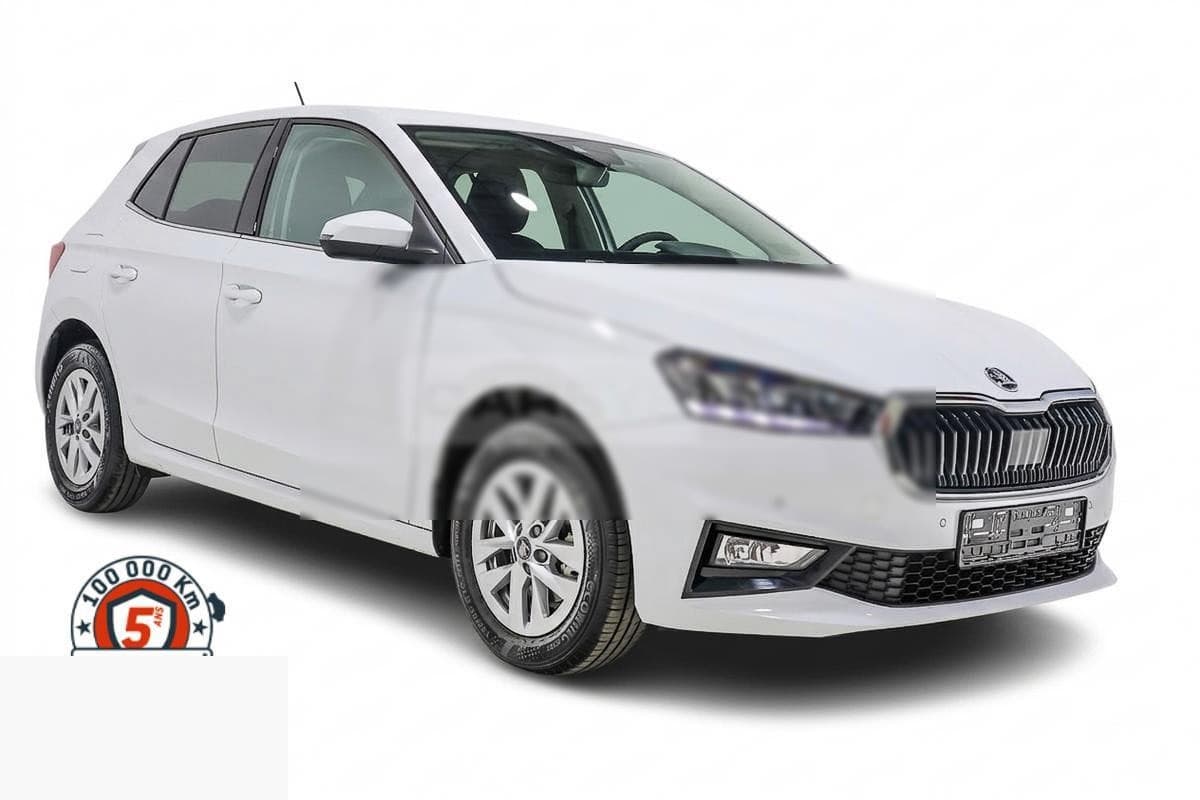 Skoda Fabia 1.0 TSI 116 DSG — photo 1
