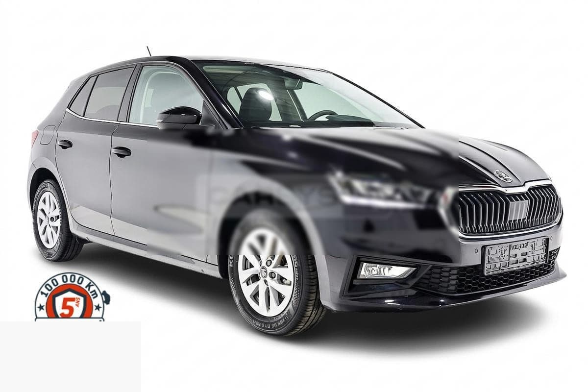 Skoda Fabia 1.0 TSI 116 DSG — photo 1